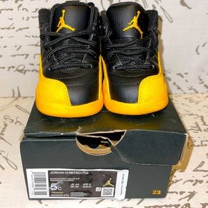 Jordan 12 University